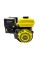 Двигатель YBX 170F-T/25
