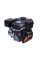 Двигатель TTG 170F (R)