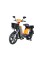 Электровелосипед TTG Modern EB-003 800W оранжевый