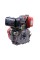 Двигатель TT 186FE-T