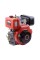 Двигатель TT 186FE-T