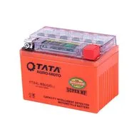 Аккумулятор Outdo 12V 4Ah YTX4L-BS индикатор