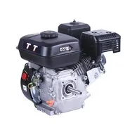 Двигатель TT 170F-V