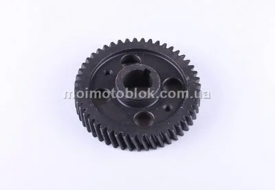 Шестерня распредвала Z-48 4L22BT-02011 (4L22BT)