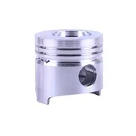 поршень ZN490BT