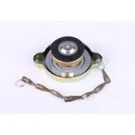 Кришка радіатора Foton 240/244 (FT250.13.010)