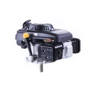 Двигатель Zongshen ZXP200 P70F вертикальный вал