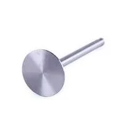 Клапан впускний TY495.1-3 (JD495)