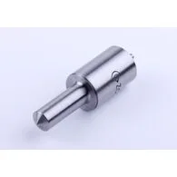 Распылитель DL190-12 Xingtai 120 (ZCK22S150)