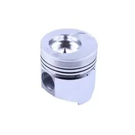 Поршень D-100 мм TY2100 Xingtai 244 (TY2100I.4.1-4)