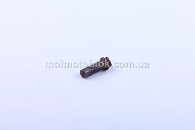 Палец декомпрессора Xingtai 120 DL190-12 (XT12A.01.125)