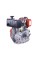 Двигатель TT 178F-T