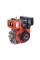 Двигатель TT 178F-T