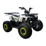Квадроцикл Forte Hunter 125