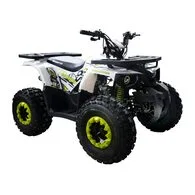 Квадроцикл Forte Hunter 125