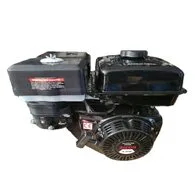 Двигатель Bizon 177F-T