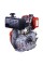 Двигатель TT 178F-T