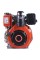 Двигатель TT 178F-T