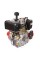 Двигатель Vitals DM 10.0kne