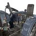 Минитрактор Кентавр 244S фото