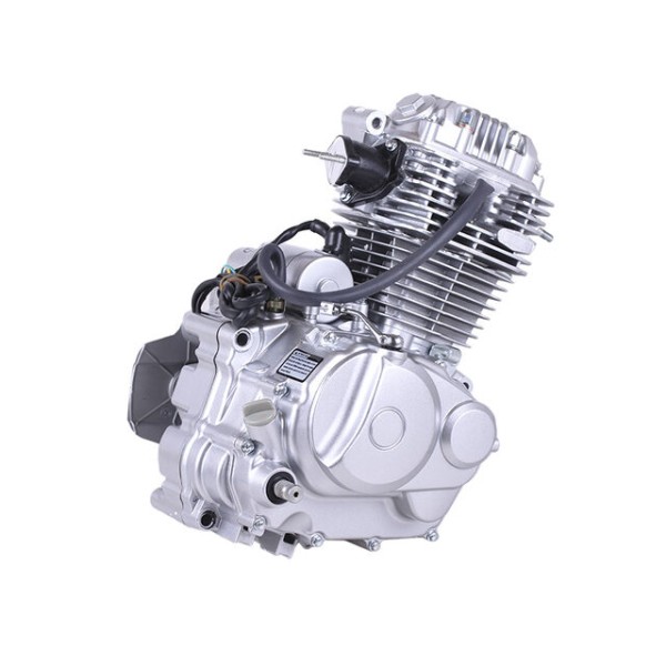 Двигатель CB250 TT AGRO MOTO на мотоцикл, 165FMJ (с воздушным охлаждением, бензиновый)