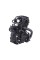 Двигун CG300 BL170MM
