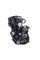 Двигун CG300 BL170MM