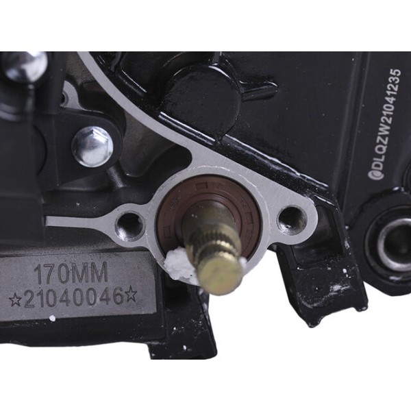 Двигатель CG300-2 TT AGRO MOTO на мотоцикл, 170ММ (с водяным охлаждением, бензиновый) 25 л.с.