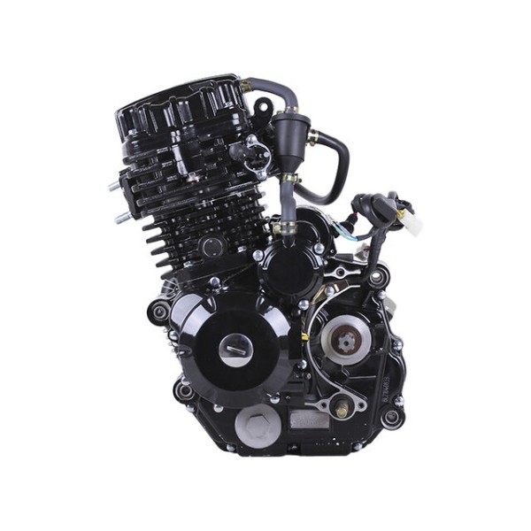 Двигатель CG300 TT AGRO MOTO на мотоцикл, L170 ММ (с водяным охлаждением, бензиновый) 25 л.с.