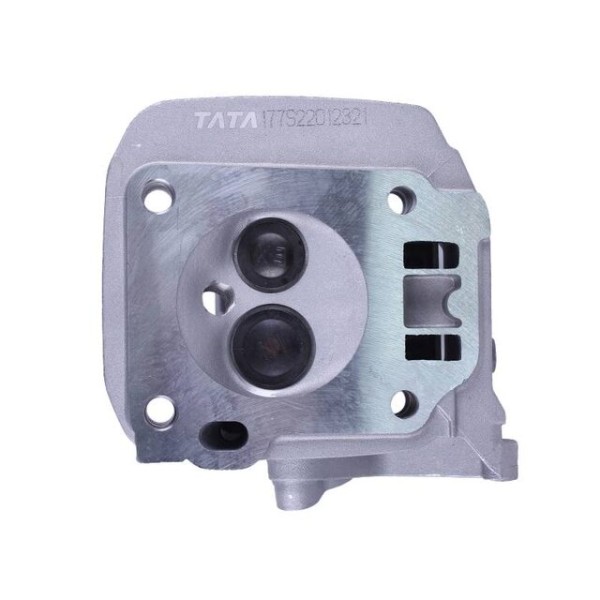 Головка блока в сборе TT AGRO MOTO на бензиновый двигатель 177F генератора GN 5-6 KW