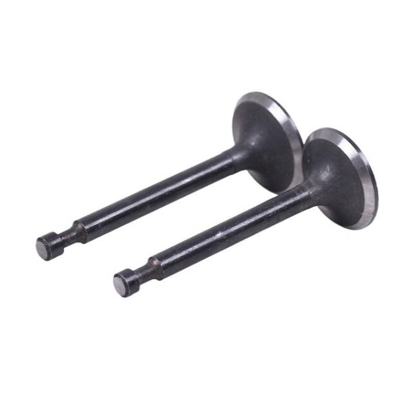 Клапаны TT AGRO MOTO на бензиновый двигатель 168F/170F генератора GN 2-3,5 KW, к-т: 2 шт.