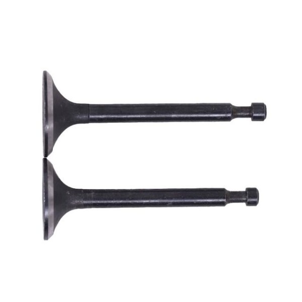 Клапаны TT AGRO MOTO на бензиновый двигатель 168F/170F генератора GN 2-3,5 KW, к-т: 2 шт.