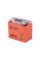 Аккумулятор гелевый TT AGRO MOTO 12N7-BS 7АH на мотоцикл, 137х76х128 мм, оранжевый, с дисплеем