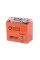 Аккумулятор гелевый TT AGRO MOTO YB9-BS 9АH, 137х76х134 мм, оранжевый, с дисплеем