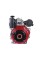 Двигатель TT 192FE-T