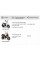 Аккумулятор гелевый TT AGRO MOTO "таблетка - Honda", YTR4A-BS, 113х49х85 мм,оранжевый