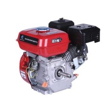 Двигун ТАТА 170F M-18