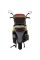 Мотороллер Spark SP150S-18