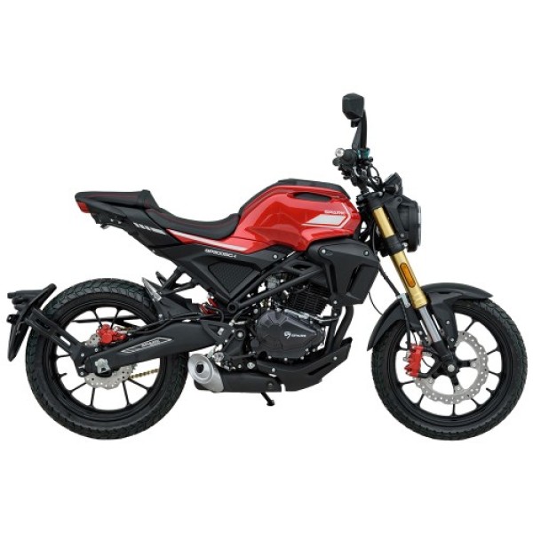 Мотоцикл SPARK SP300SC-1