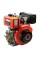 Двигатель Bizon 178FE-T