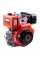 Двигатель Bizon 186FE-T