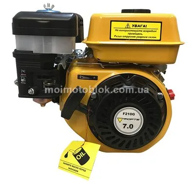 Двигун Forte F210G