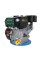 Двигатель GrunWelt GW230-T/25 Евро 5
