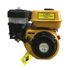 Двигун Forte F210G-T/25
