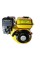 Двигатель Forte F200G