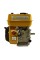 Двигатель Forte F200G