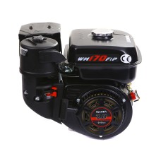 Двигун GrunWelt GW210-S