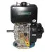 Двигатель GrunWelt GW186FB-S фото