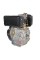 Двигатель GrunWelt GW186FB-T