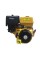 Двигатель Forte 190FE-S